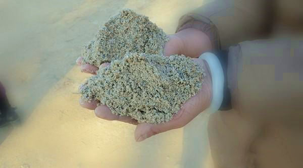 79edbae5861f4629905d2a8681255b20 79edbae5861f4629905d2a8681255b20